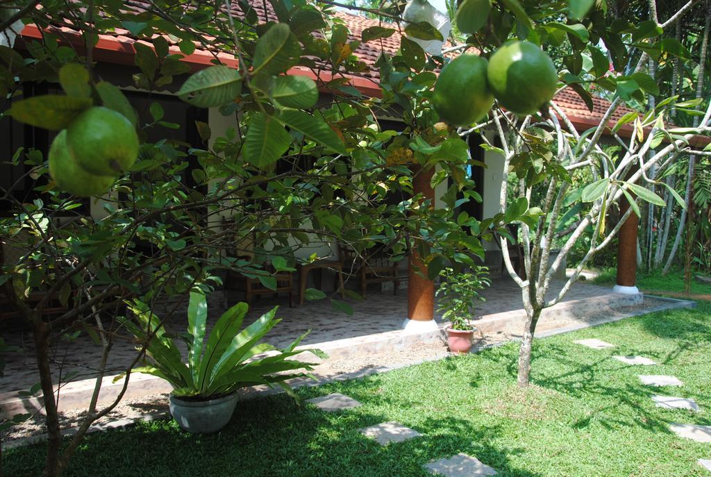 Aknara Rest Hotel Weligama Exterior foto